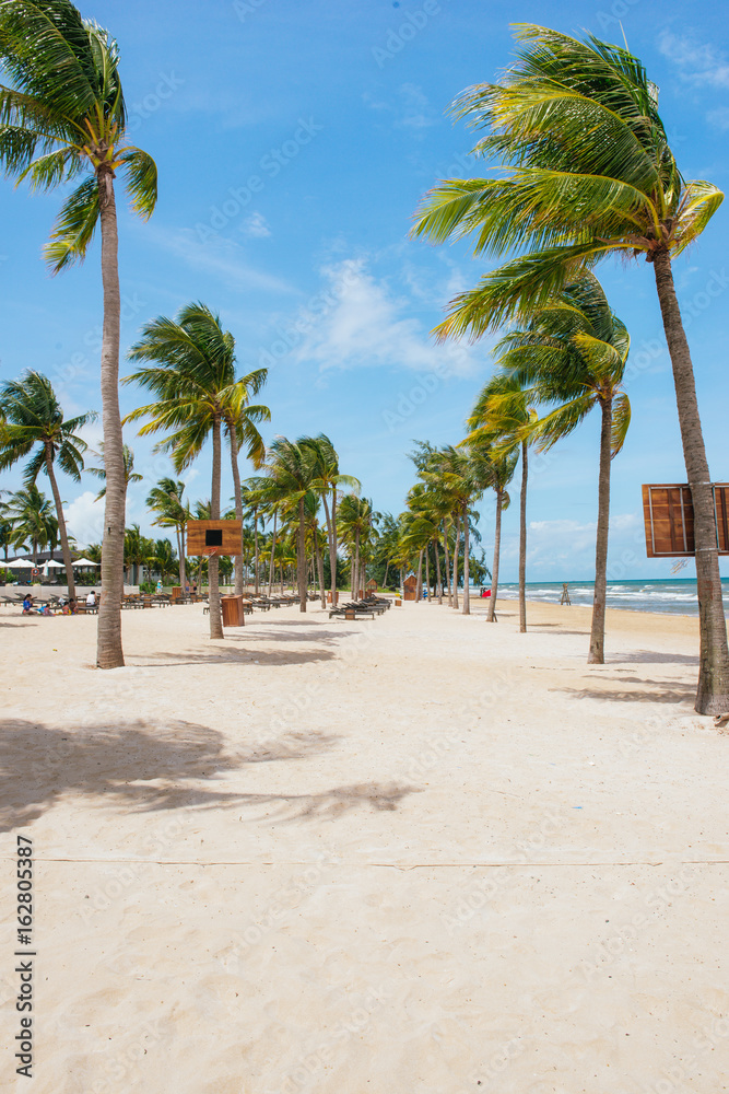 Tropical beach with palm trees, blue sky and white sand.