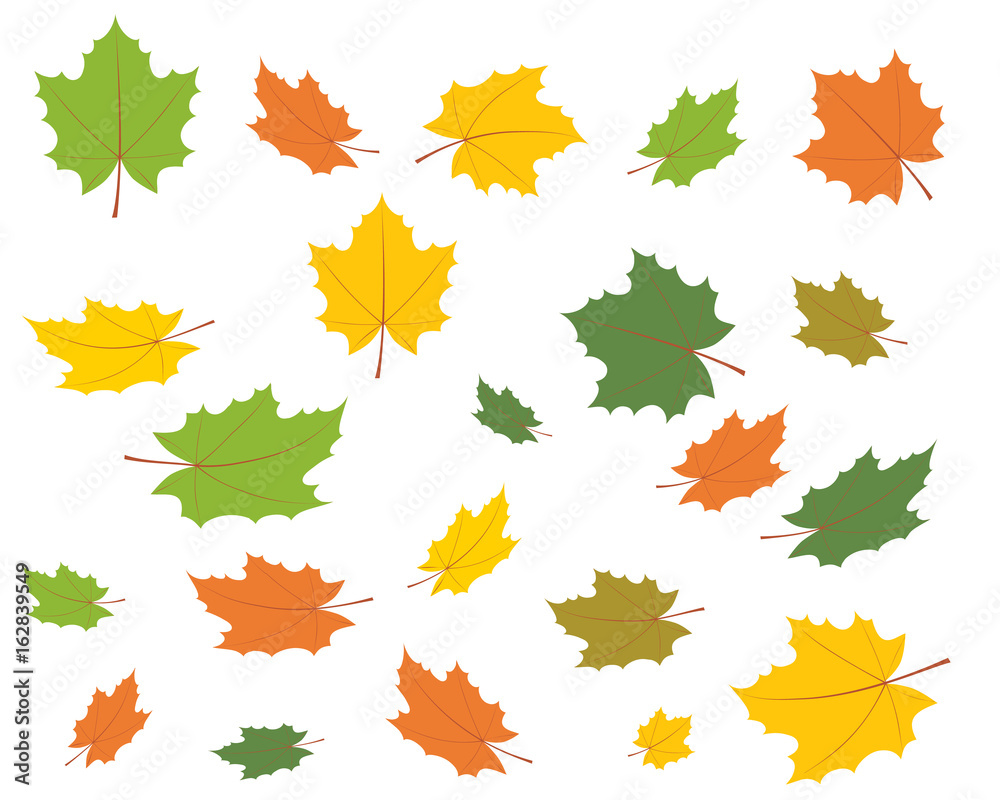 Autumn leaves. Vector