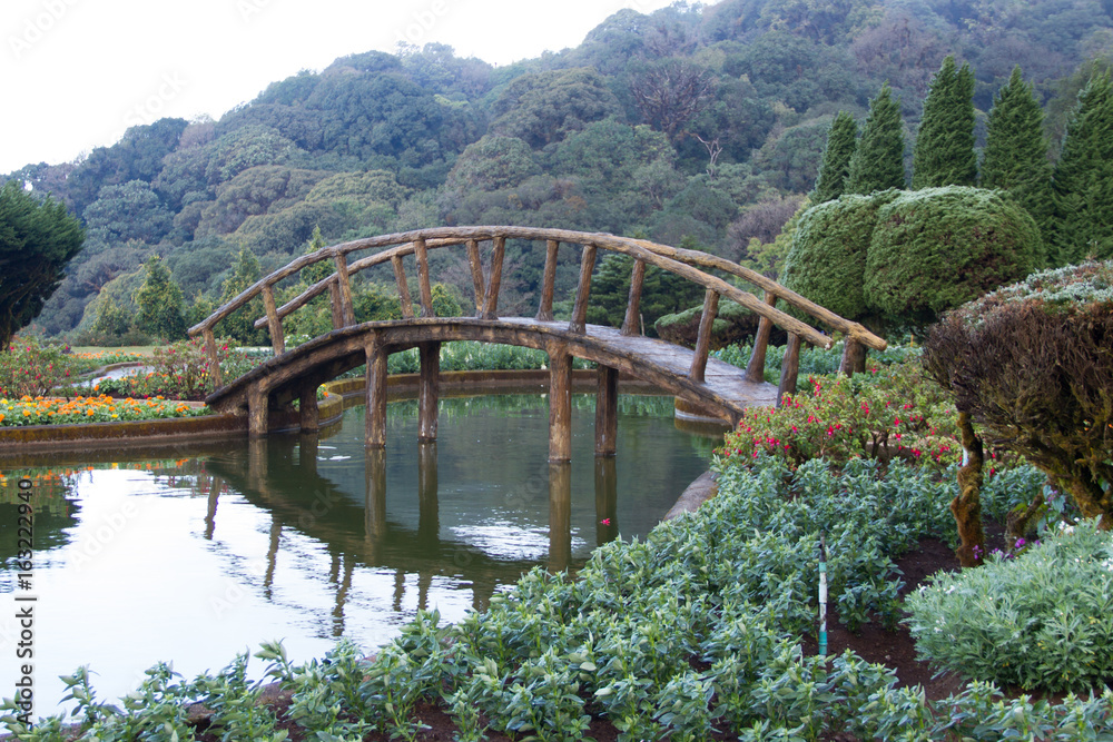 wooden bridge in the garden