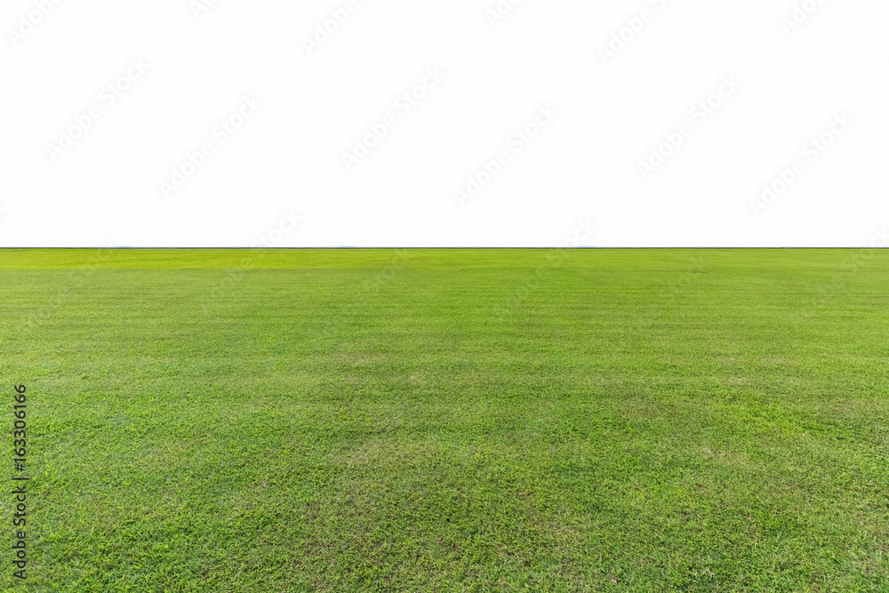 green lawn isolated