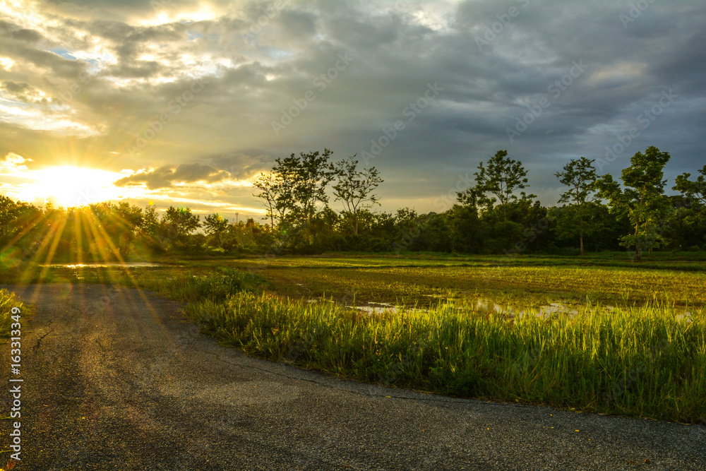 Golden evening, beautiful clouds, shadows in the shadows, meadow, sunrise, sunset, fields, orange, w