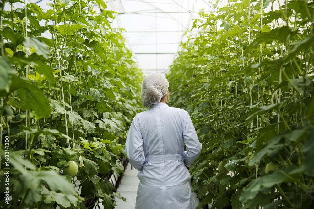 Woman Wearing Gown in Glasshouse Study Plants