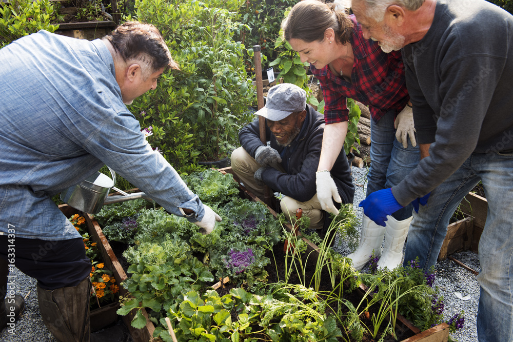 Group of people planting vegetable in greenhouse