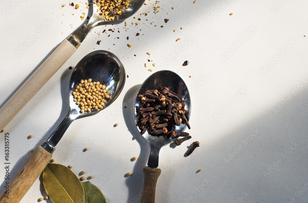 Variety of spice in spoon and white background