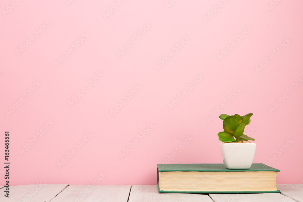 education and reading concept - book on wooden table, color background