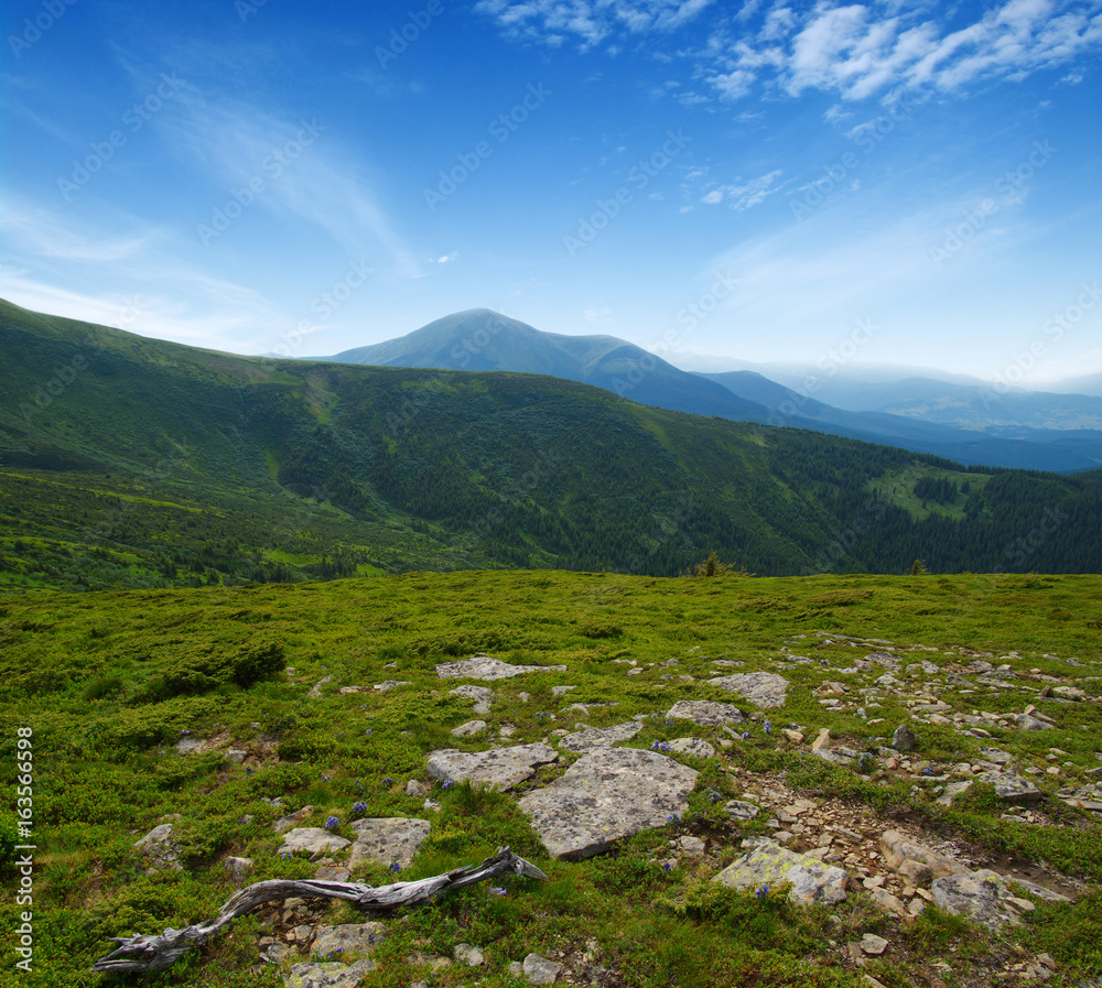 夏日山景