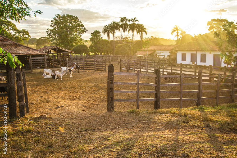 Corral. Brazilian Farm in Pirenopolis