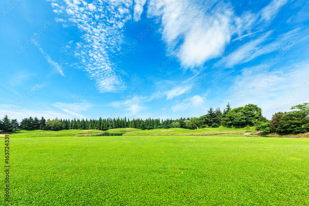 Green field and blue sky