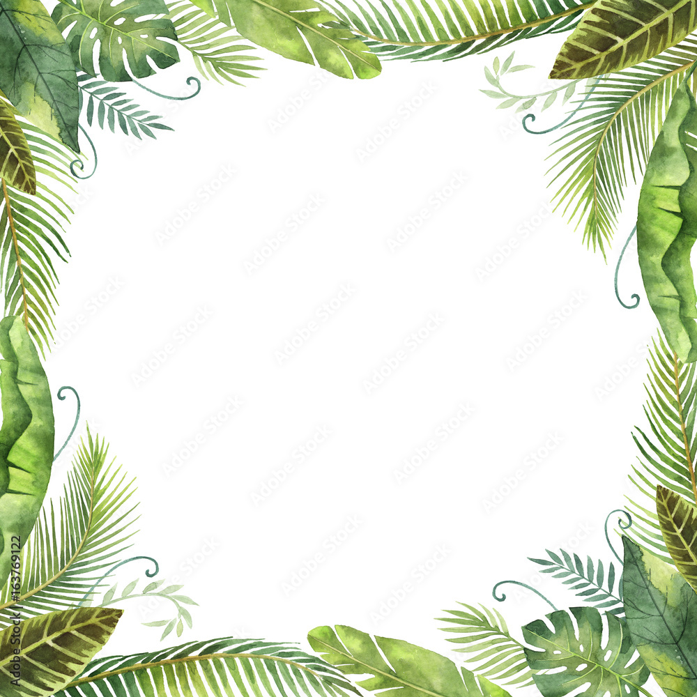 Watercolor frame tropical leaves and branches isolated on white background.