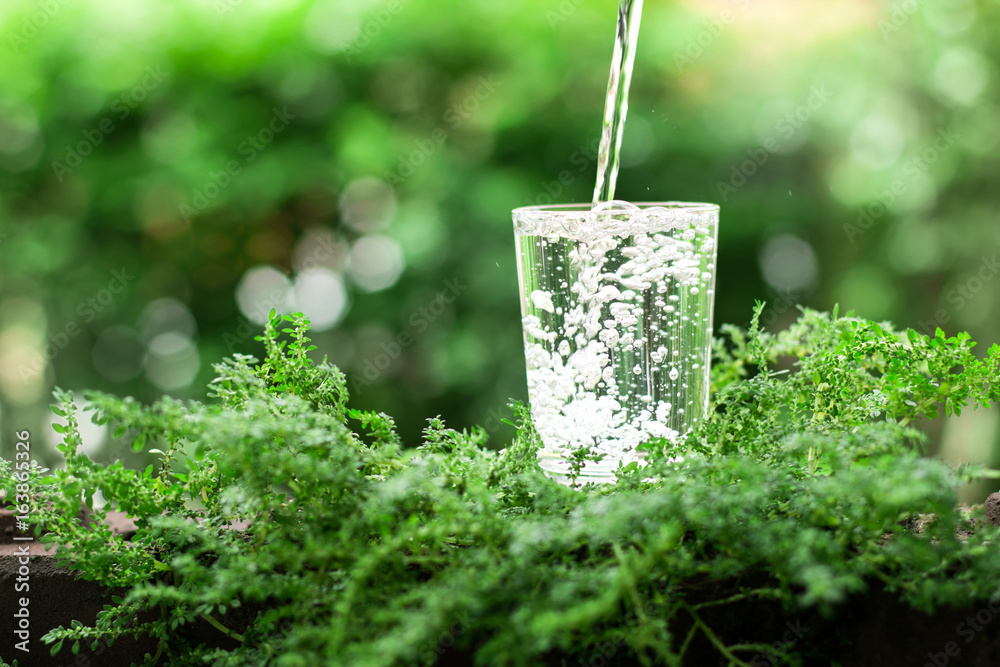 a glass of cool fresh water on natural green background