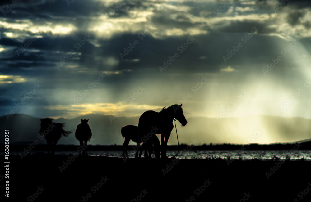 The horse is in natural fresh green grass.