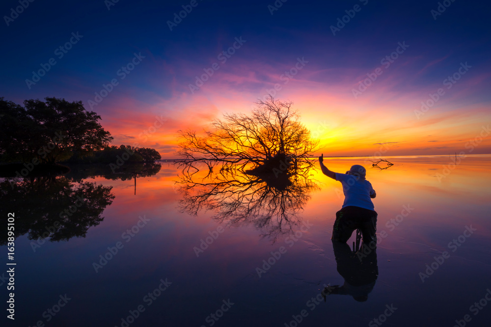 People photography the dead tree by the sea with the beautiful morning sun.