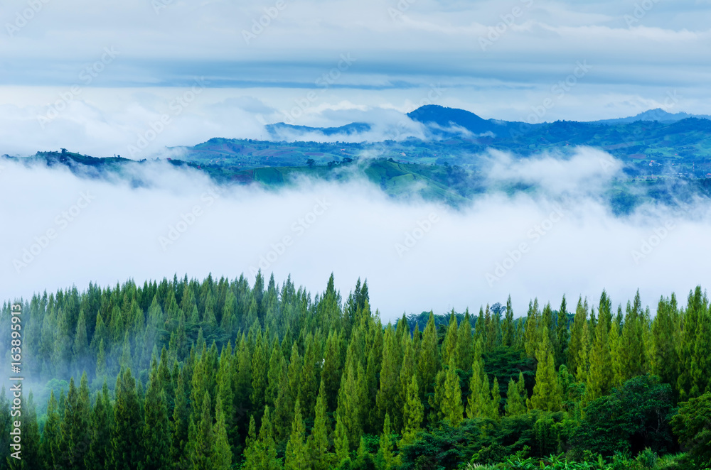 泰国的晨雾山景。