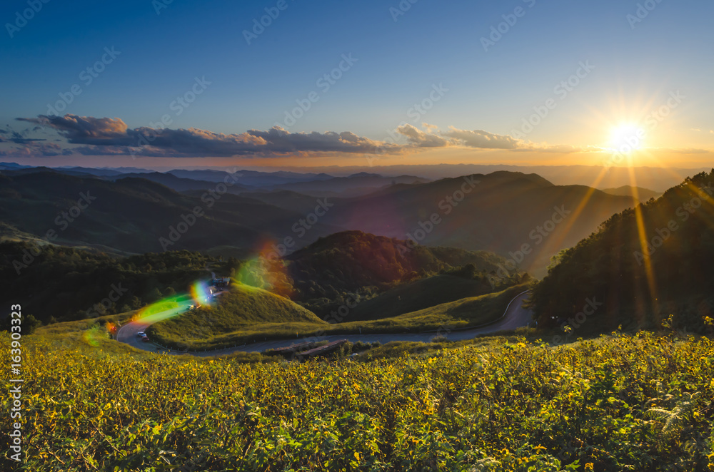 sun ,mountains,tTung  Bua Tong,thailand,Evening ligh