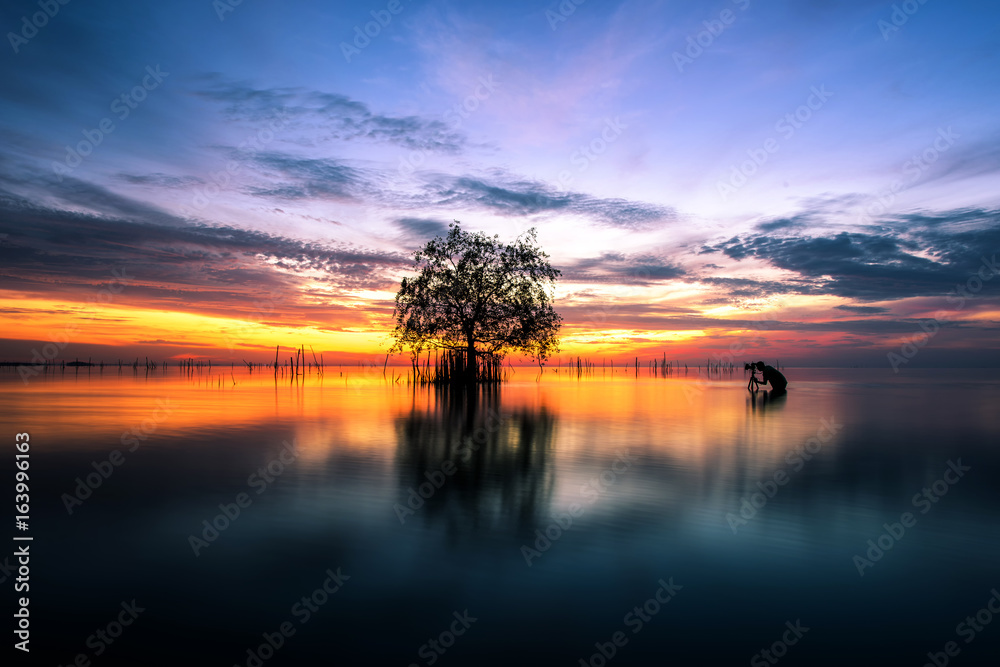 Tree by the sea with the beautiful morning sun.And the tree was photographed in the sea.