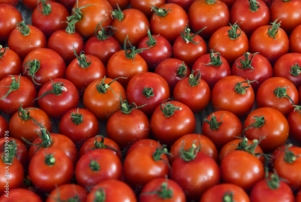 Fresh Tomato Vegetable Harvest From Farm