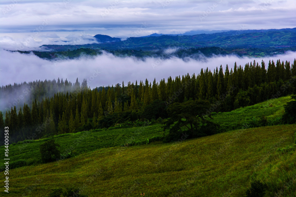 Background blur white mist floating on the mountain.