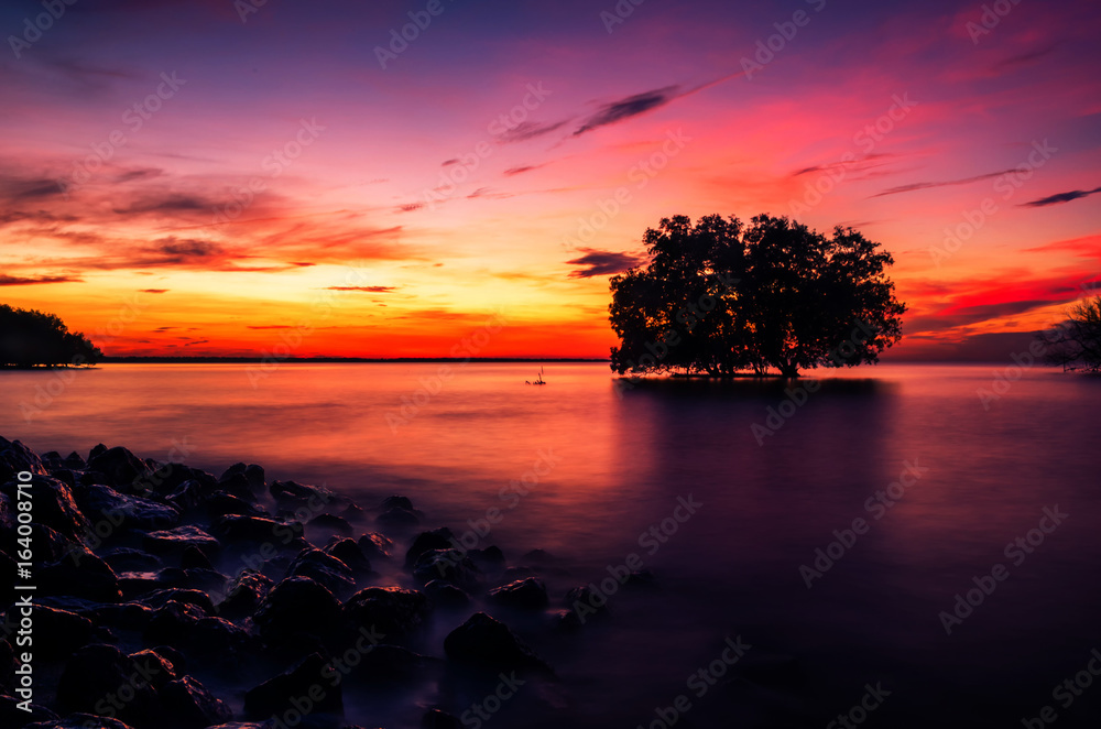 Dead tree by the sea with the beautiful morning sun.