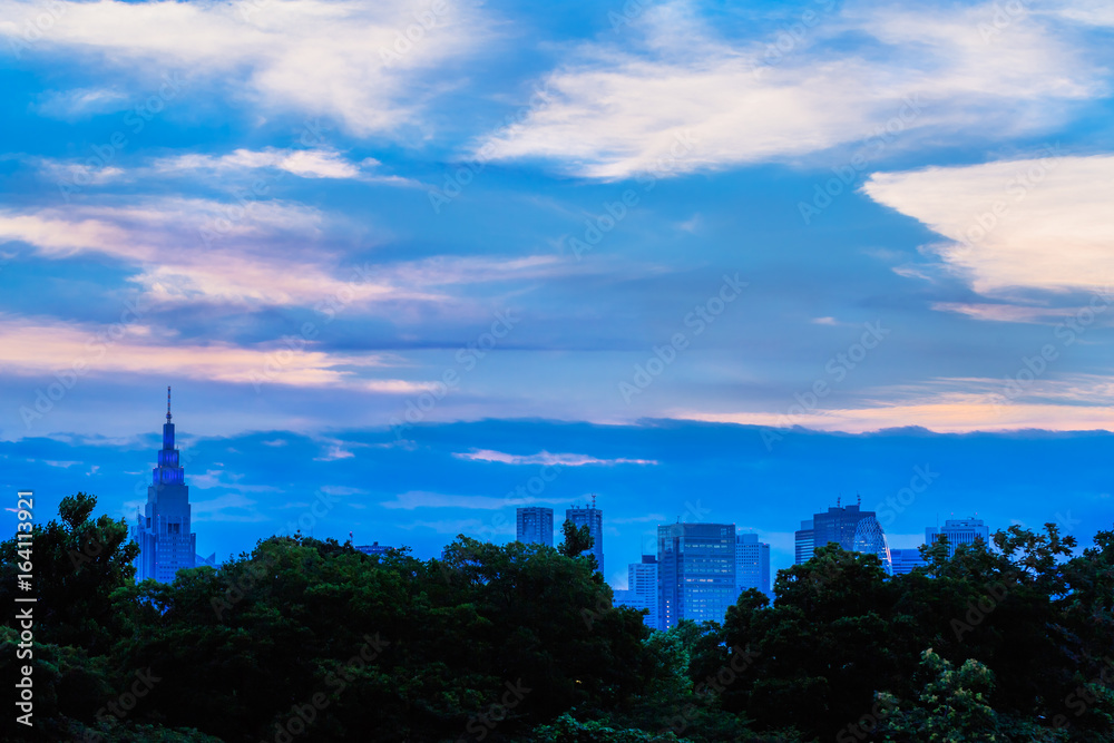 東京の空