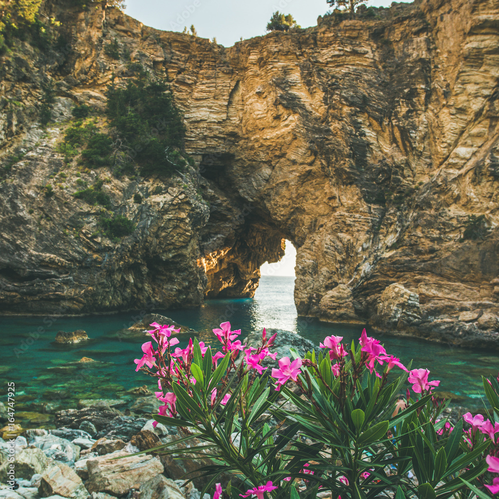 风景如画的海湾里盛开的杜鹃树，安蒂奥谢亚阿德克拉古附近的岩石上有拱门