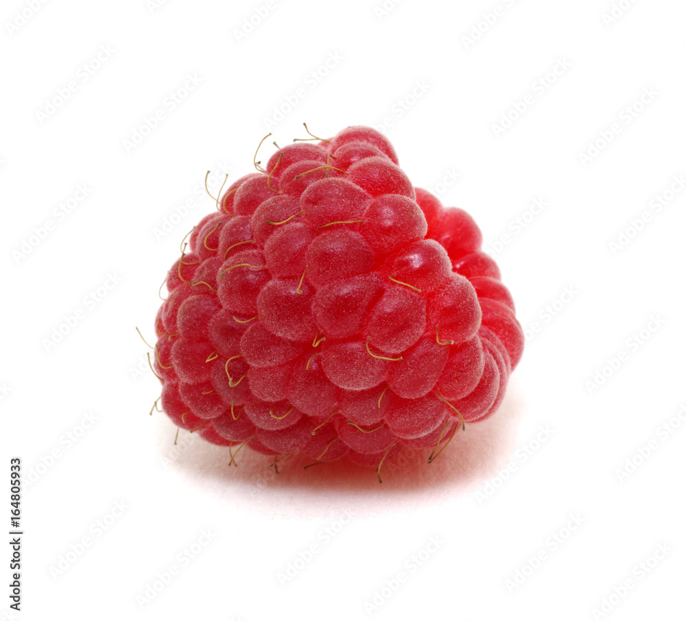  raspberry isolated on white