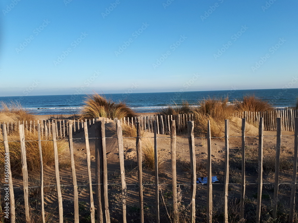 Les dunes de sable à Marseillan Plage 