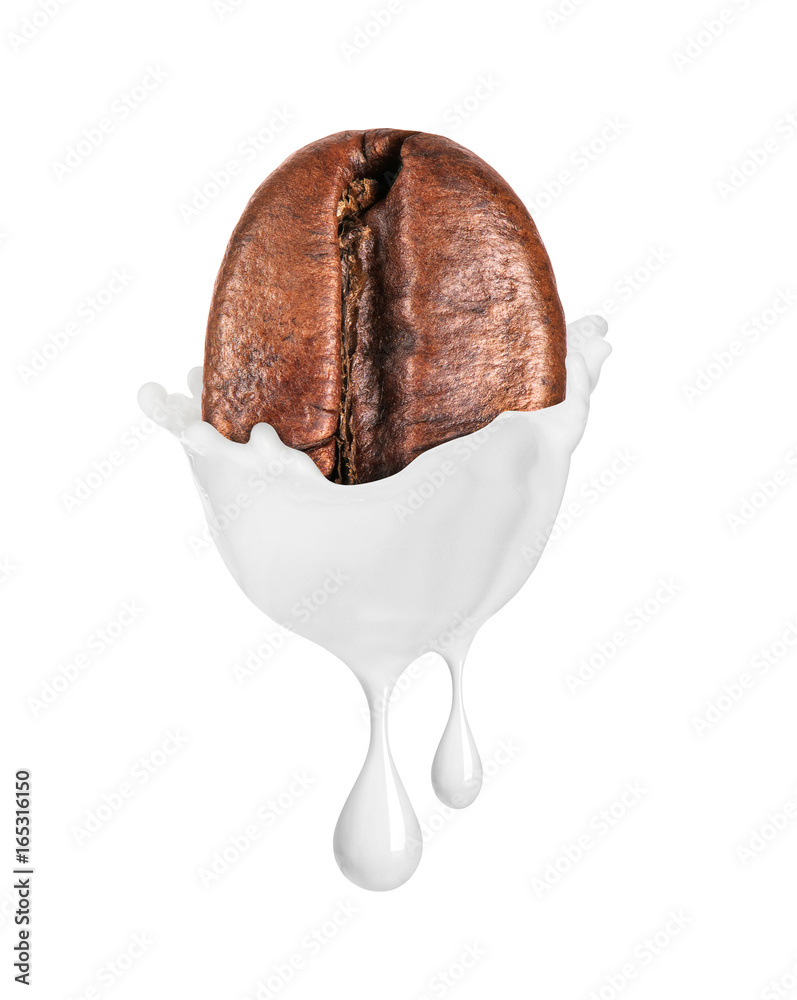 Coffee bean with milk drops isolated on white background