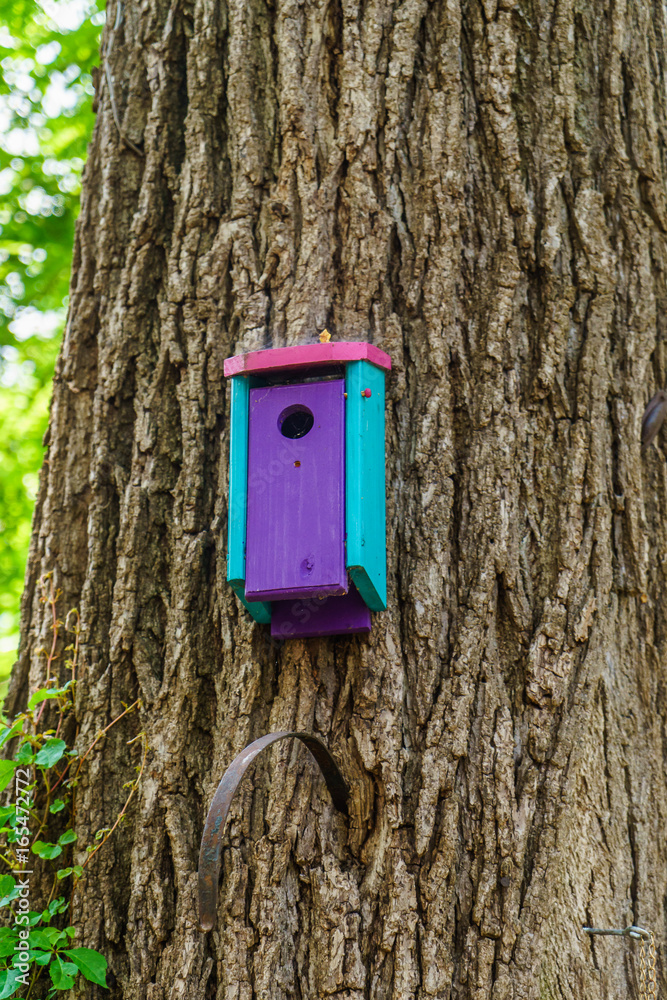 Beautiful wooden bird house on tree in New Hope