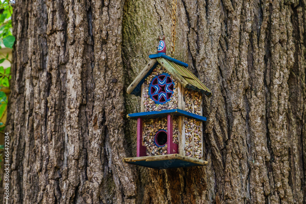 Beautiful wooden bird house on tree in New Hope