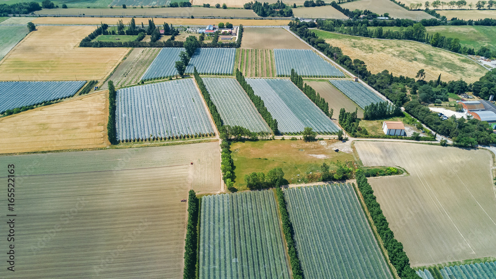 Aerial top view of Canal du Midi and vineyards from above, beautiful rural  countryside landscape of