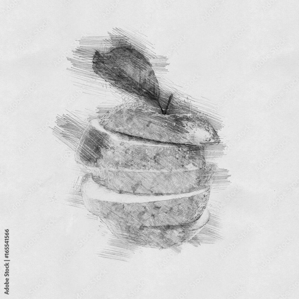 Apple. Sketch with pencil