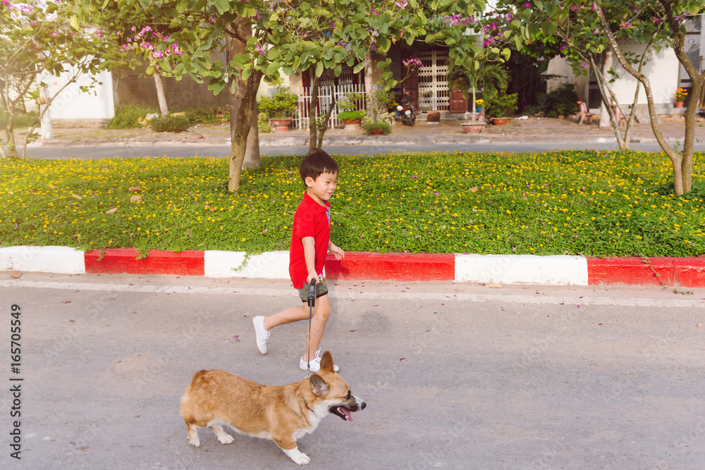 亚洲男孩与彭布罗克柯基犬同行