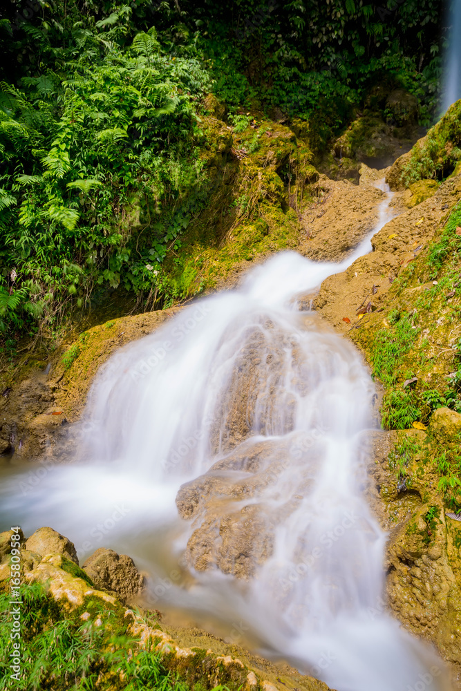 Beautiful cataract