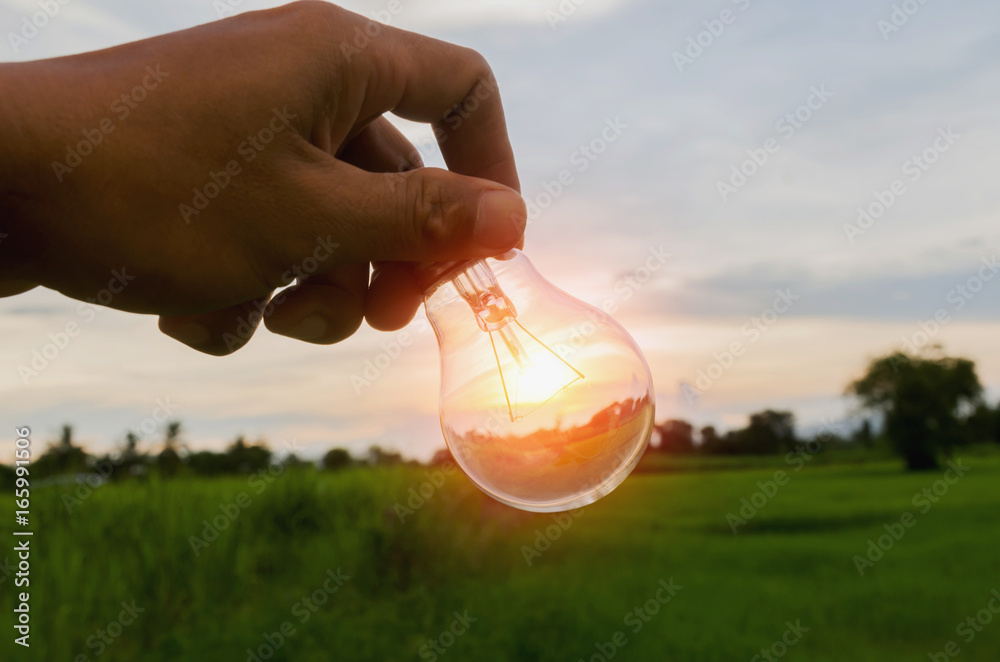 hand hold light bulb and sunset power energy concept nature