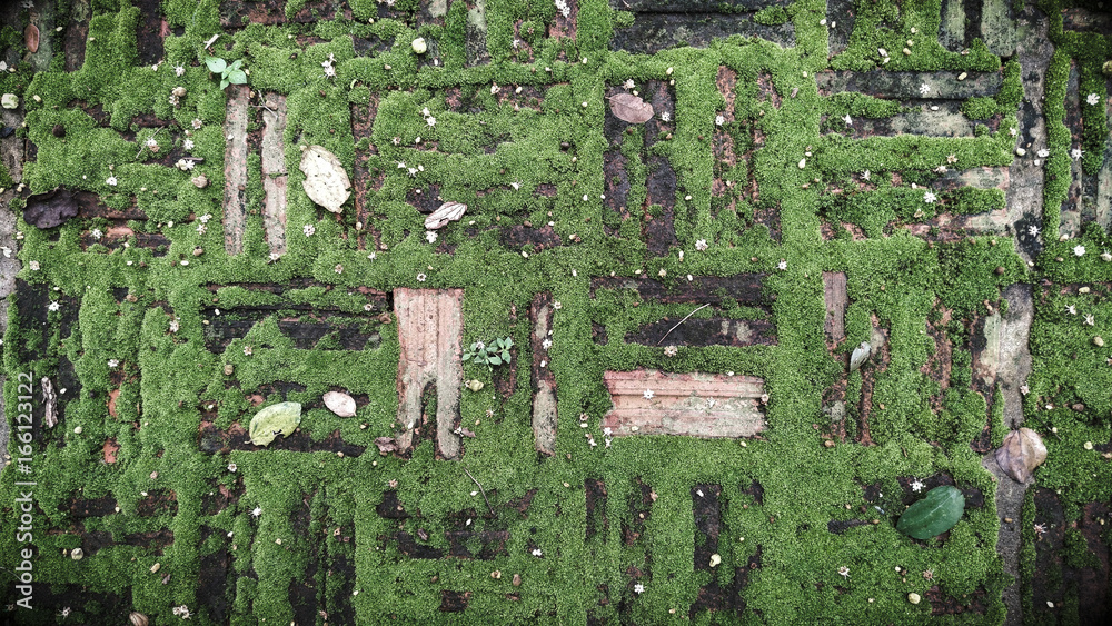 Texture of old brick with green moss