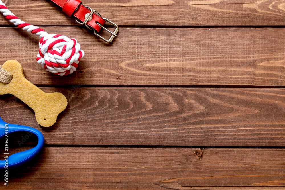 concept pet care and training on wooden background top view