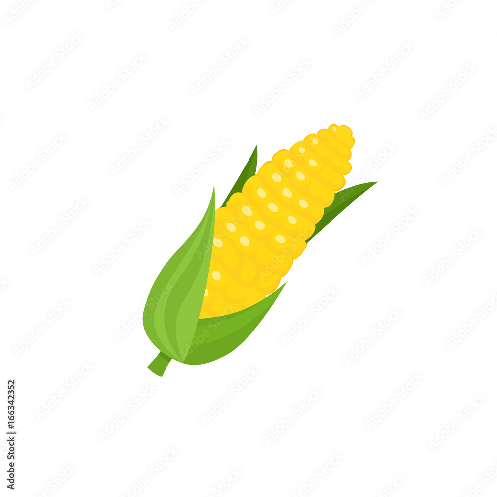 Comic style corn cob, ear with leaves, cartoon vector illustration isolated on white background. Sim