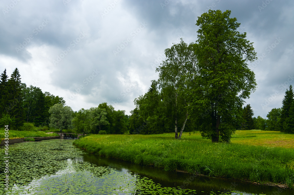 Summer landscape with river in the park of Pavlovsk, Saint-Petersburg