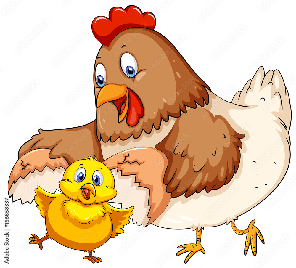 Mother hen and little chick