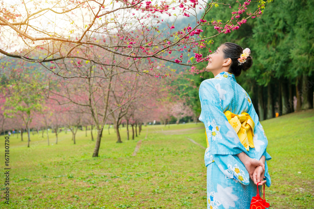 亚洲游客观赏花木