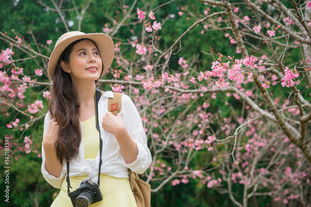 观赏樱花的旅游女性