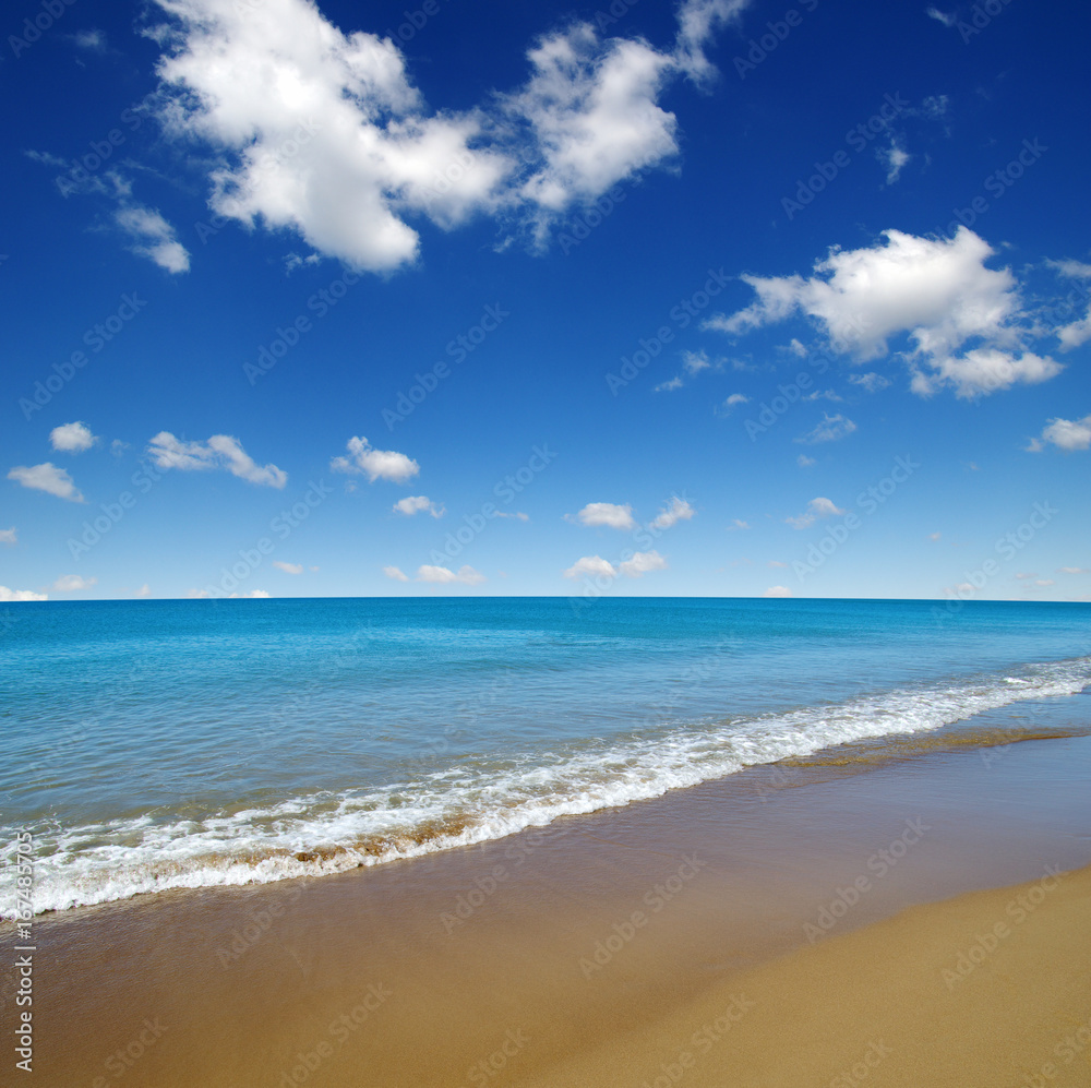 beach and sea