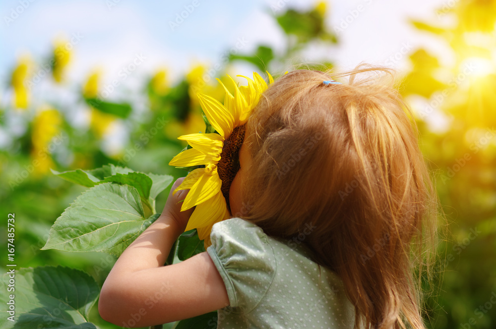  girl and sunflower on the field