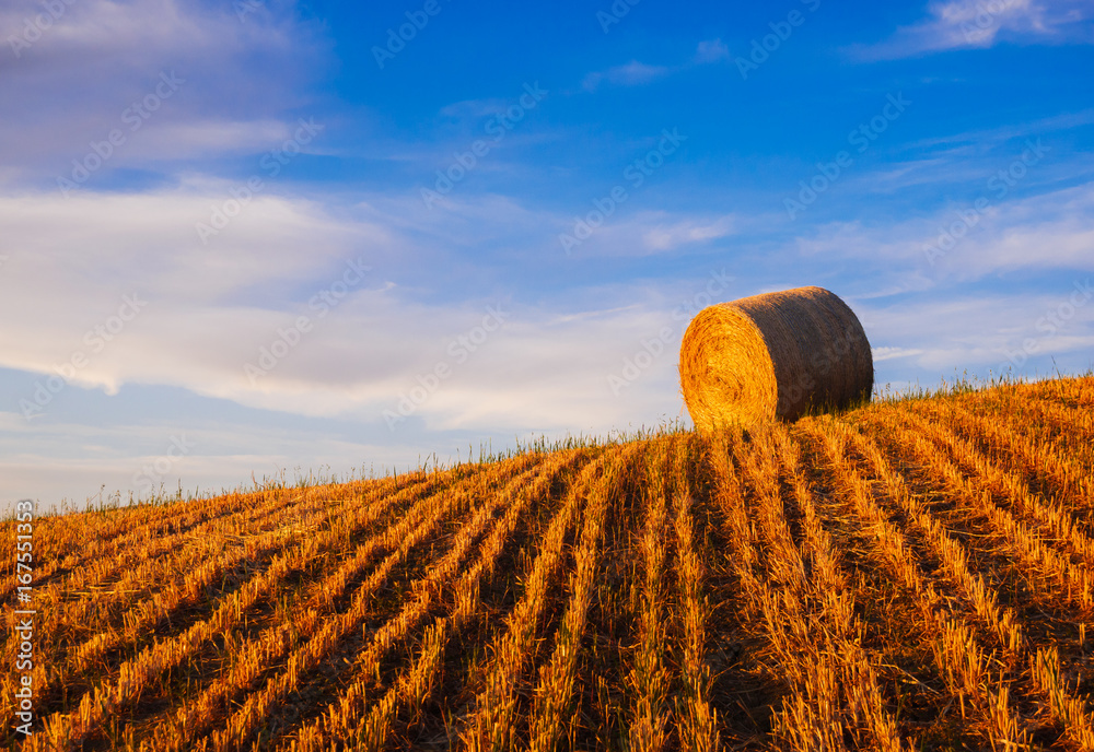 Hay bales on the field at sunset, Tuscany, Italy