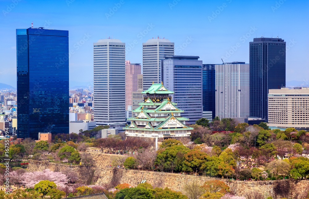 Osaka castle in cherry blossom season, Osaka, Japan