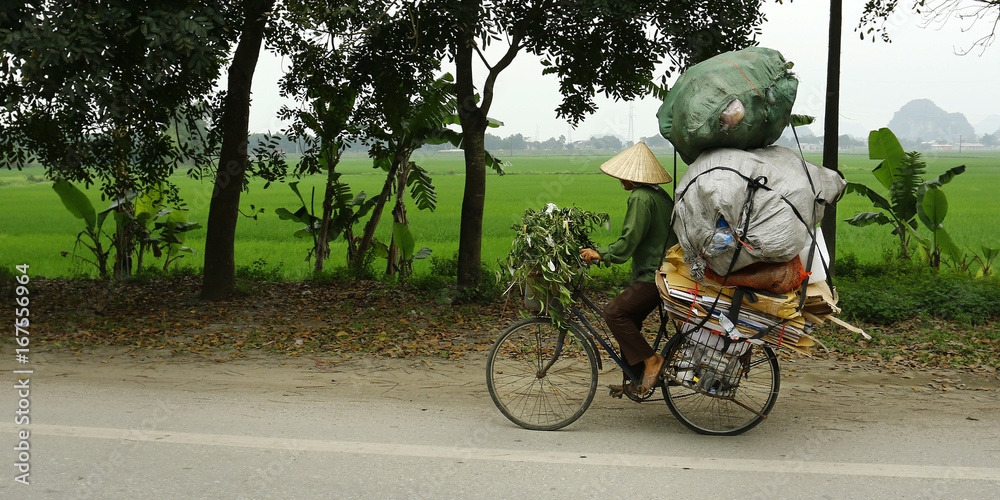 Asian street seller with bicycle