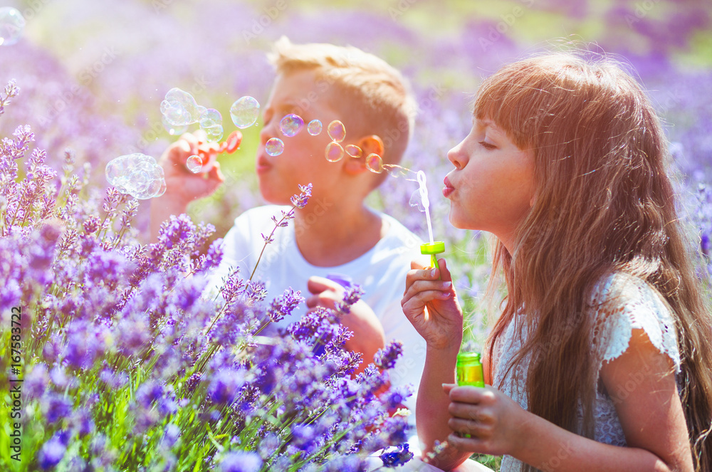 Two kids having fun blowing soap bubbles in lavender field at sunny day