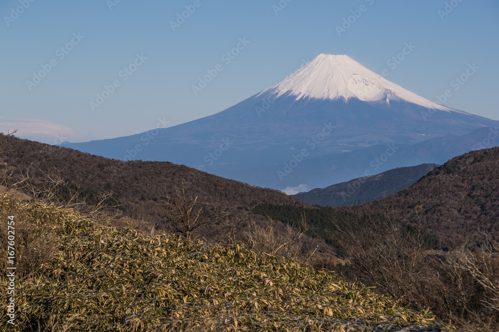 静冈县伊豆市冬季富士山与高山的景色。