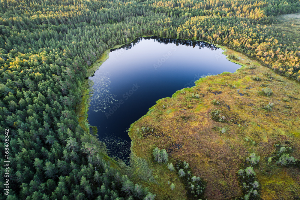 aerial of pond and forest