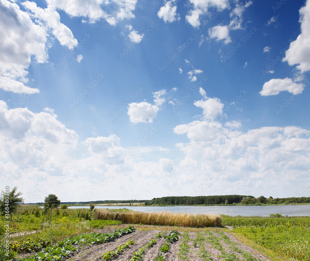 Farmers field and sunny day. Summer background, mock up for design